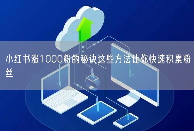 小红书涨1000粉的秘诀这些方法让你快速积累粉丝