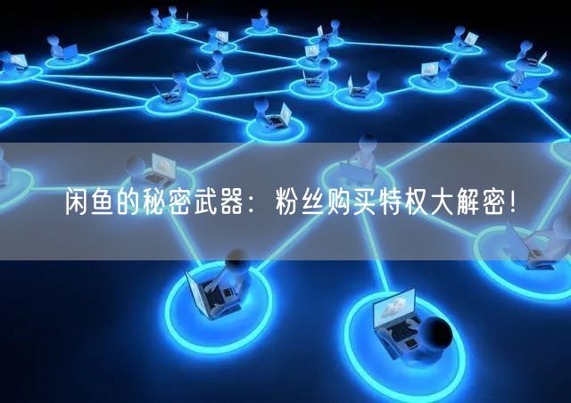 闲鱼的秘密武器:粉丝购买特权大解密!