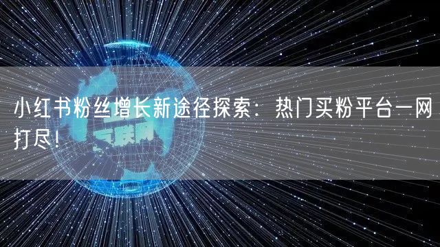 小红书粉丝增长新途径探索：热门买粉平台一网打尽！