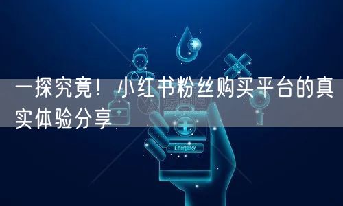 一探究竟!小红书粉丝购买平台的真实体验分享